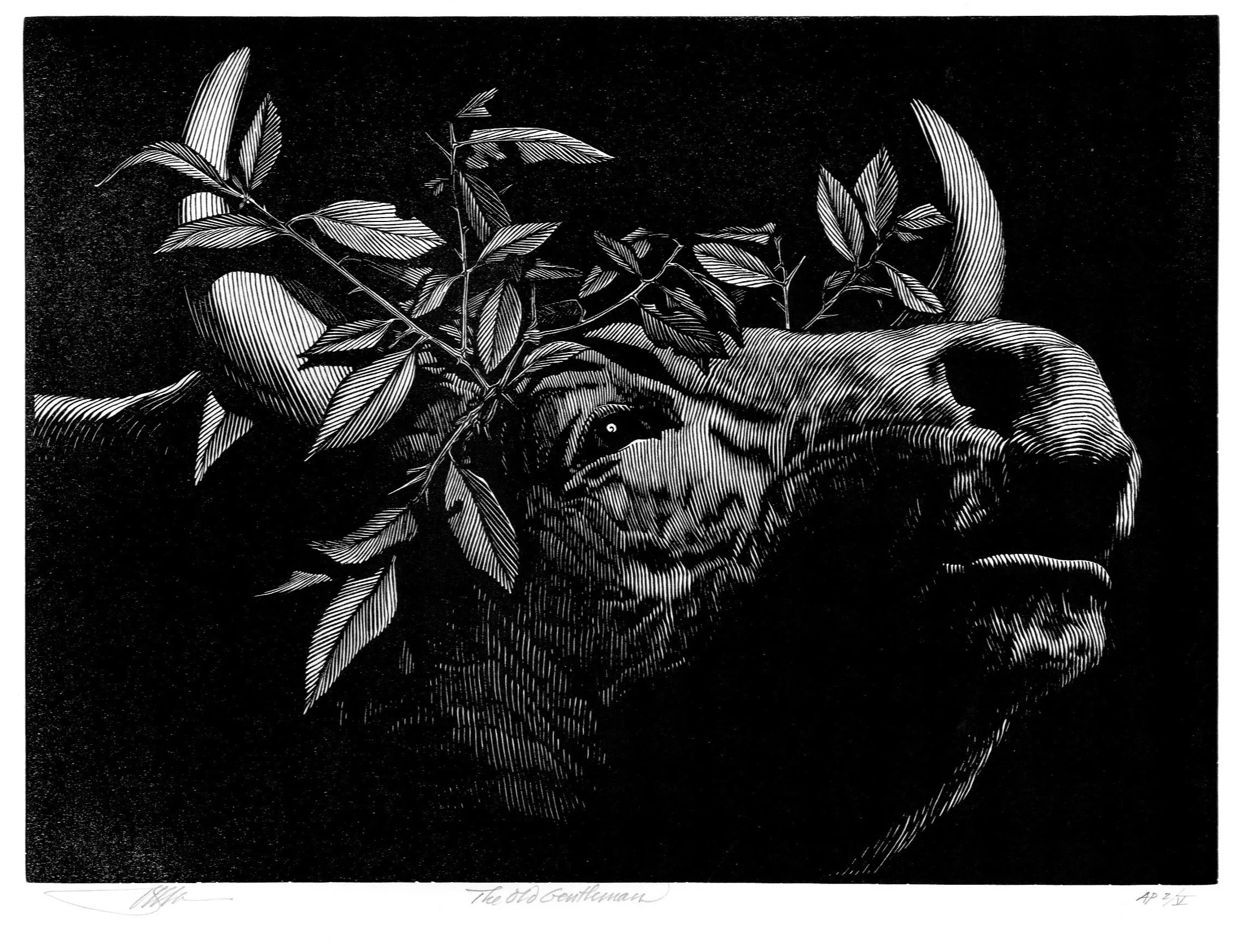 Prints — Barry Moser—Pennyroyal Press